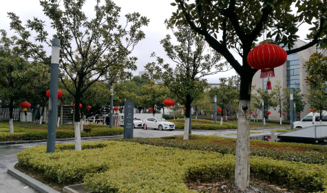 挂灯笼，贴春联  金年会科技园内年味浓