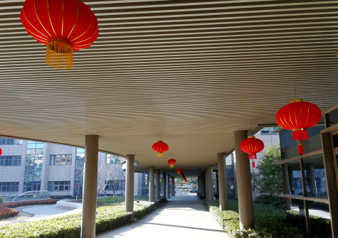 挂灯笼，贴春联  金年会科技园内年味浓